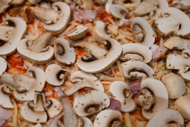 Seasonal harvest punch pizza with local fresh produce toppings